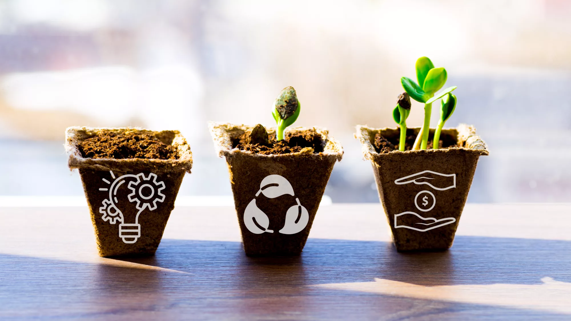 Biodegradable Innovations Inspired by Cultural Sustainability Practices