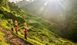 Cultural Practices that Promote Environmental Harmony