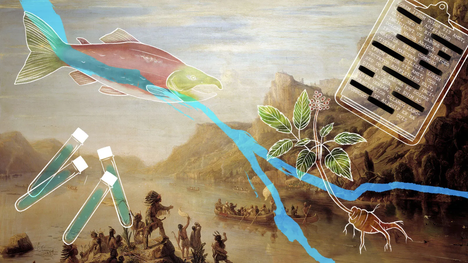 How Indigenous Knowledge Contributes to Climate Solutions